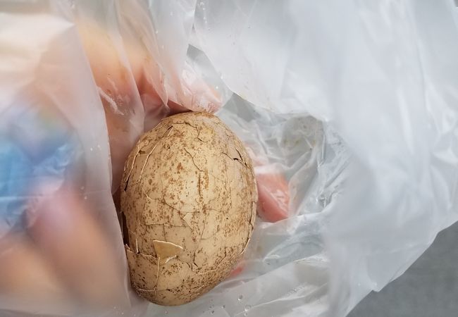 金盆阿婆の香菇茶葉蛋