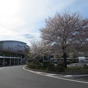 新しかった駅もすっかり街の顔に　流山おおたかの森駅