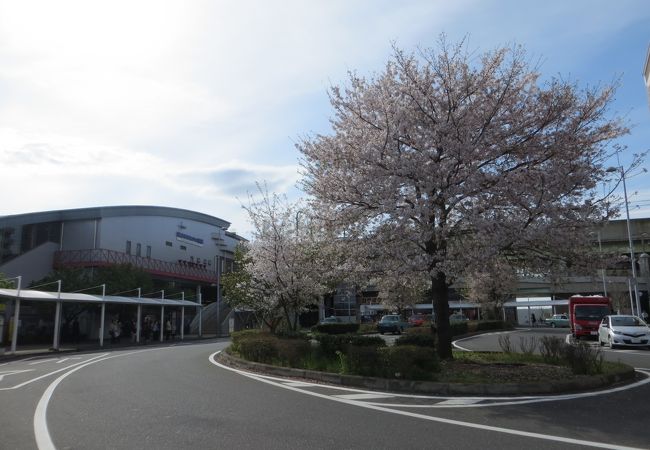 新しかった駅もすっかり街の顔に　流山おおたかの森駅