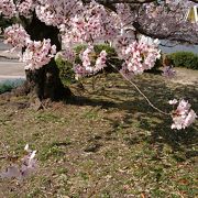 とても広い公園