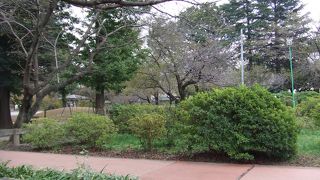 勝願寺の隣にある公園
