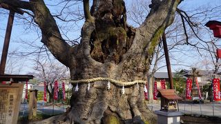 34か所の観音霊場を巡る秩父霊場発祥の地