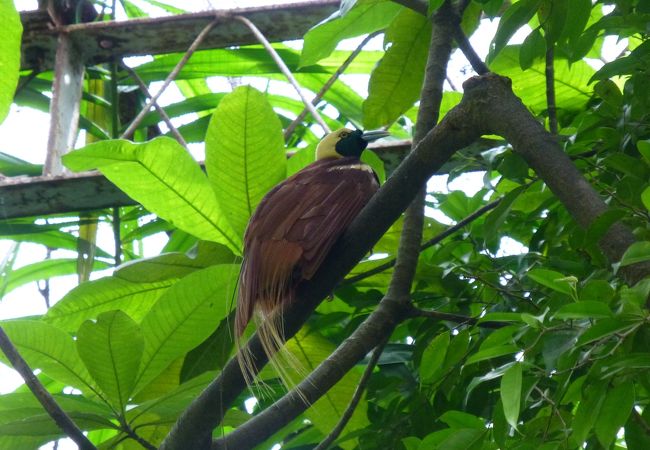 国立植物園　