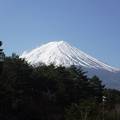 河口湖周辺でコスパの良いホテルです