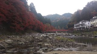 紅葉を見てきました