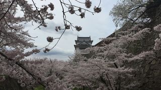 桜祭り 人が多い