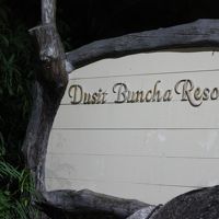 ゲートにビックリ!