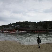 西松原から見た厳島神社