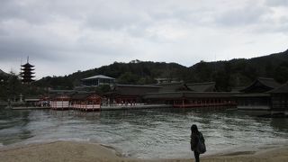 ゆったりと厳島神社を見る事が出来ます