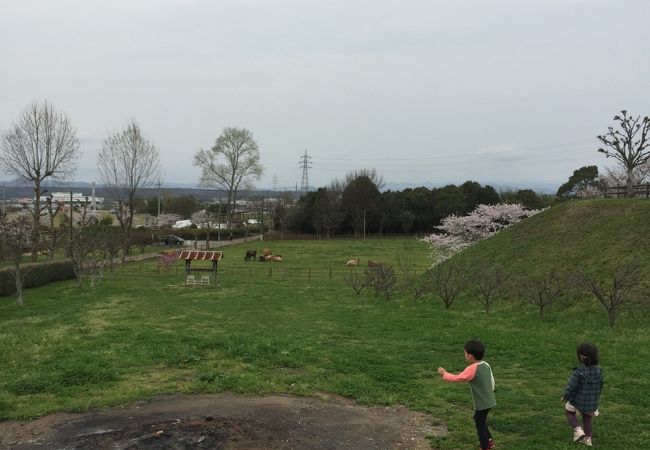 牧場ランチ