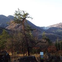 エントランスからの眺め