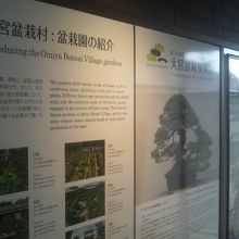 駅の待合室に盆栽村の説明や案内があり行く前の参考になります