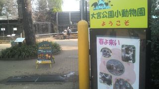 カピパラに触れるコーナーが人気でした