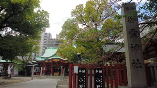 桜も過ぎました