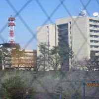 部屋から福井城址が見えた