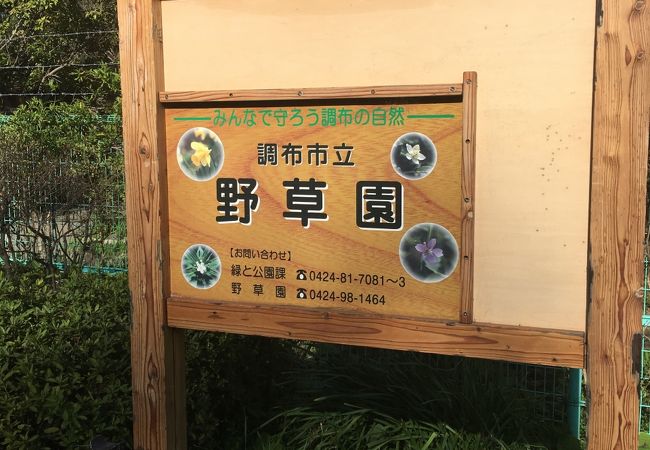 深大寺自然広場 野草園 クチコミ アクセス 営業時間 調布 狛江 フォートラベル 深大寺自然広場 野草園 クチコミ アクセス 営業時間 調布 狛江 フォートラベル