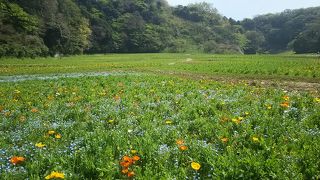 ハイキング感覚