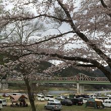 桜の公園からキャンプ場を望む