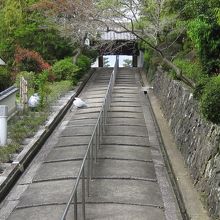 霊松寺参道石段