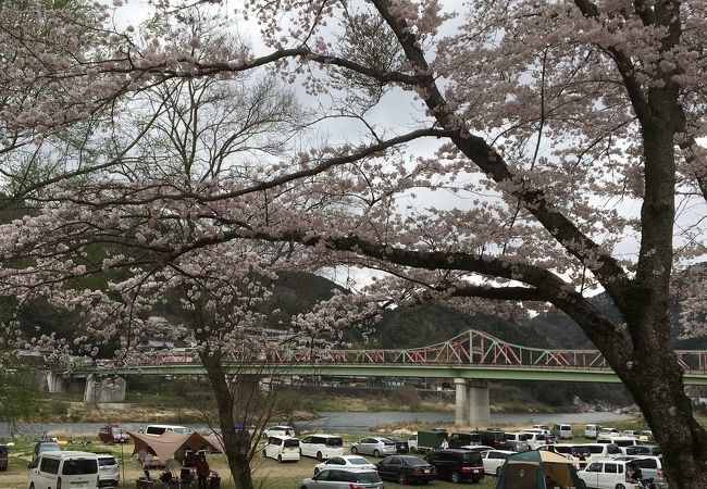 桜の季節が特にオススメです