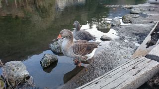 温泉街の終着点