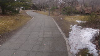 4月上旬の早朝、散策コースが悠々と歩けてとても良かったです