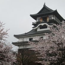 雨に彩る桜とお城