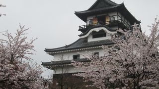 雨に煙る桜と天守