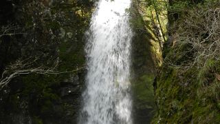 熊野市育生町赤倉地区にある滝です