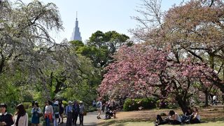 都会の真ん中に