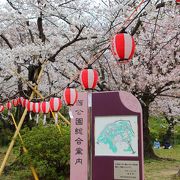 福岡唯一の桜100選