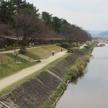 京都植物園近くの川