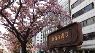 4月には綺麗な桜並木が見れます