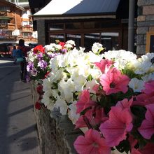 花、花、花の静かな村