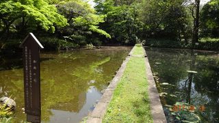 西門の入口から入って、すぐの場所にあります！