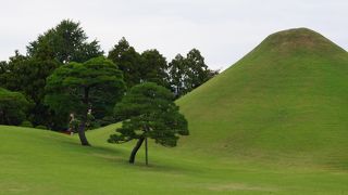 穏やかで，優雅で，すこし寂びしくなれる庭