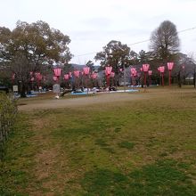 三の丸跡で花見客がいました