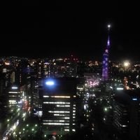 夜景がきれい