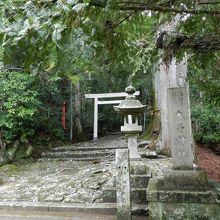神社の参道をずっと奥に進むと滝があります