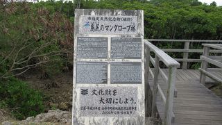 思った以上に見ごたえあり