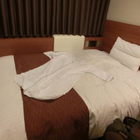 ベッドは広くて快適。でもベッドで部屋は一杯という感じ