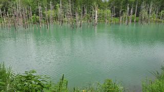 天気が良ければ綺麗だと思います。