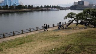 レインボーブリッジも見える