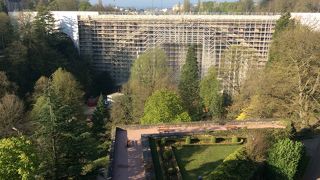 2~3年後が楽しみなアドルフ橋