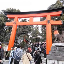 狛犬でなくて狐さんです