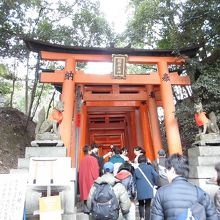 人気の千本鳥居を歩きます