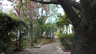 甘酒横丁と交差する細長い緑地