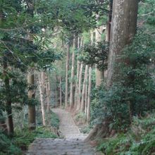 幽玄の世界にはまり込みそうな古道