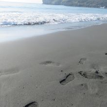 綺麗な水辺でした