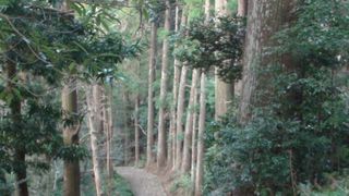 何箇所もある古道史跡